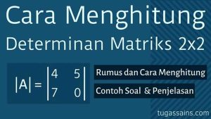 Cara Menghitung Determinan Matriks 2x2