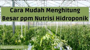 Cara Mudah Menghitung Besar ppm Nutrisi Hidroponik