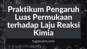 Praktikum Pengaruh Luas Permukaan terhadap Laju Reaksi Kimia