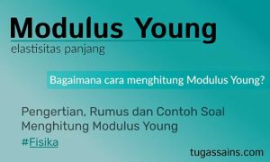 Modulus Young