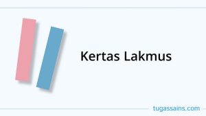 Pengertian dan Cara Menggunakan Kertas Lakmus