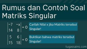 Rumus dan Contoh Soal Matriks Singular