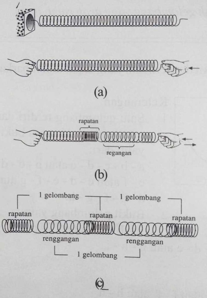 Gelombang Longitudinal pada pegas