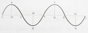 Gelombang Transversal