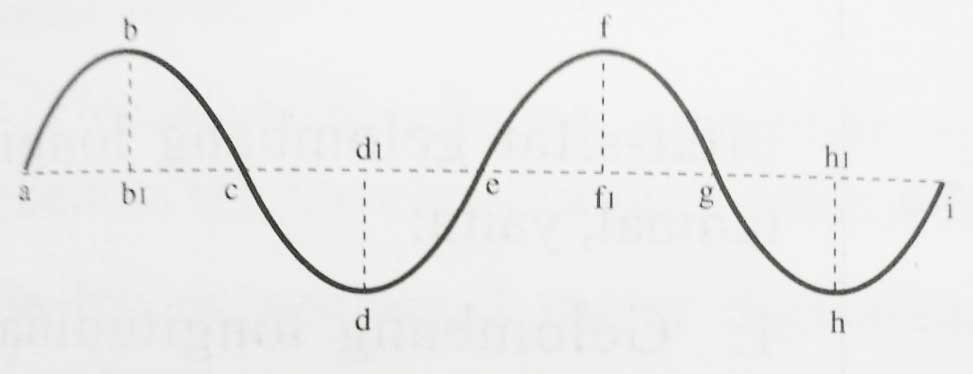 Gelombang Transversal