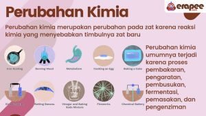 Perubahan Kimia