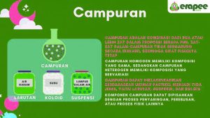 Campuran Homogen