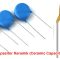 Kapasitor Keramik (Ceramic Capacitor)