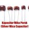 Kapasitor Mika Perak (Silver Mica Capacitor)