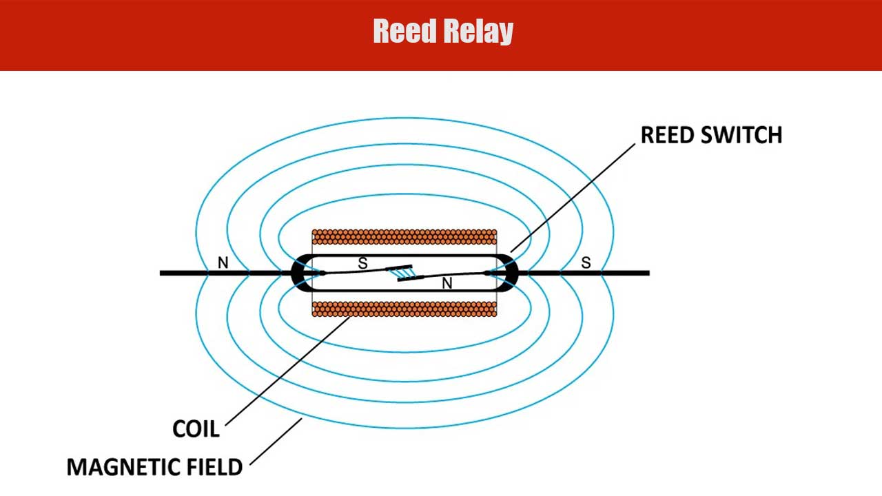 Reed Relay